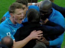 Torino-Napoli 0-1 mC tOMINAY